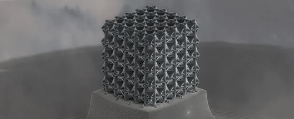Estrutura microscópica de nanorretículos de carbono
